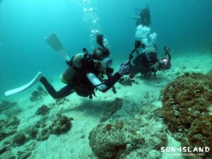 今日のゲストダイバー