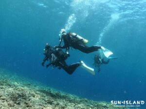 ボート体験ダイビングの様子