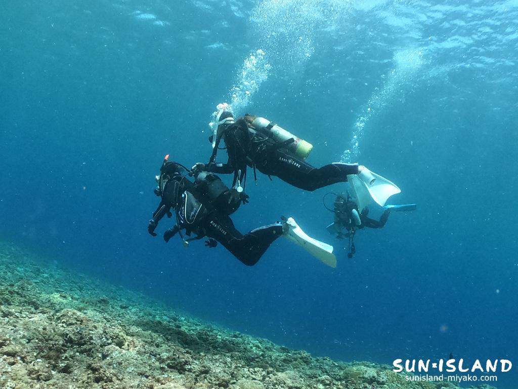 ボート体験ダイビングの様子