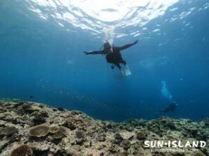 ボートファンダイビング