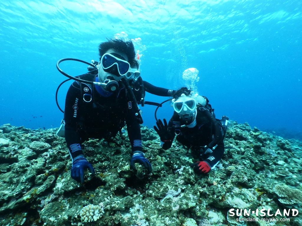 体験ダイビング