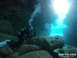 今日のゲストダイバー