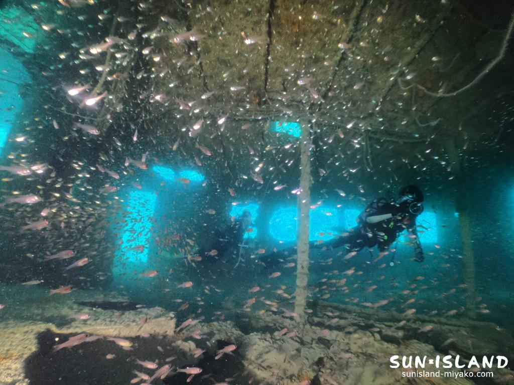 沈船ダイビング