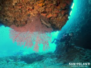 伊良部島ダイビングポイント『Zアーチ』