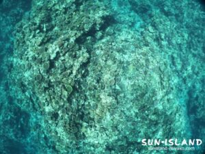 サバ沖アウトリーフ