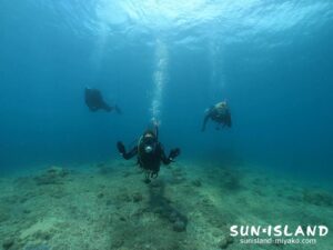 ライセンス取得コース