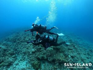 ライセンス取得コース