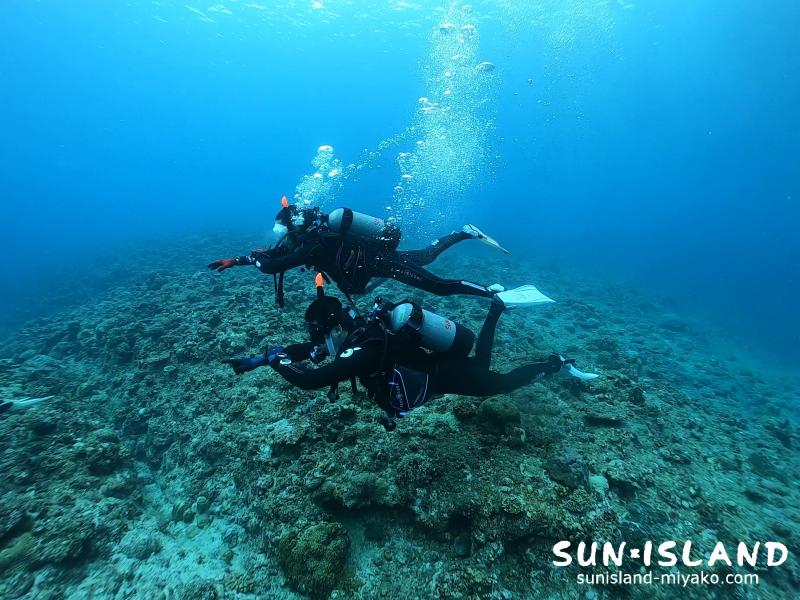 ライセンス取得コース