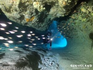 ムーンライトホール