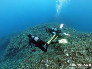 今日のゲストダイバーさん