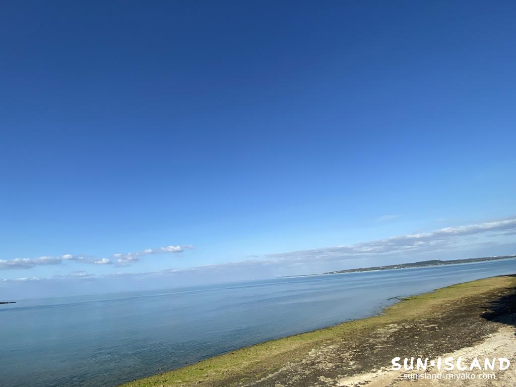 穏やかな海の様子