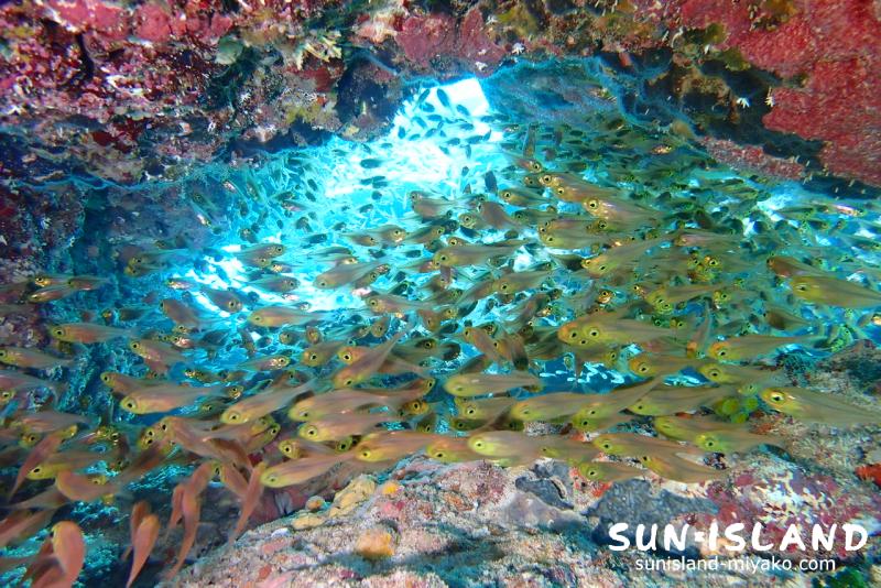 クリスタルパーク