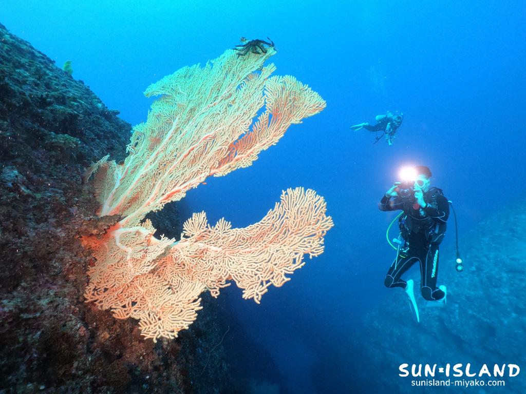 一ノ瀬ドロップオフ