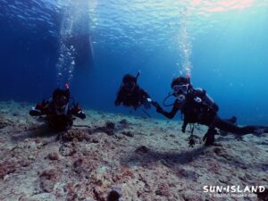 今日のゲストダイバー