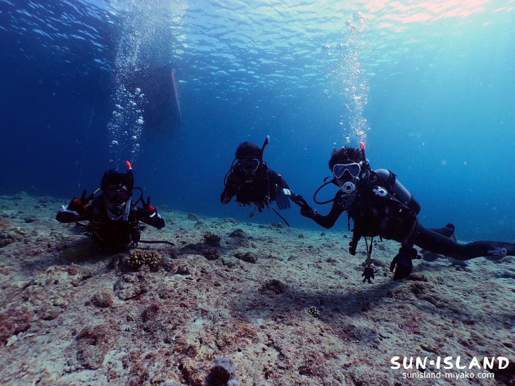 今日のゲストダイバー