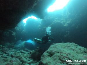 本日のゲストダイバー