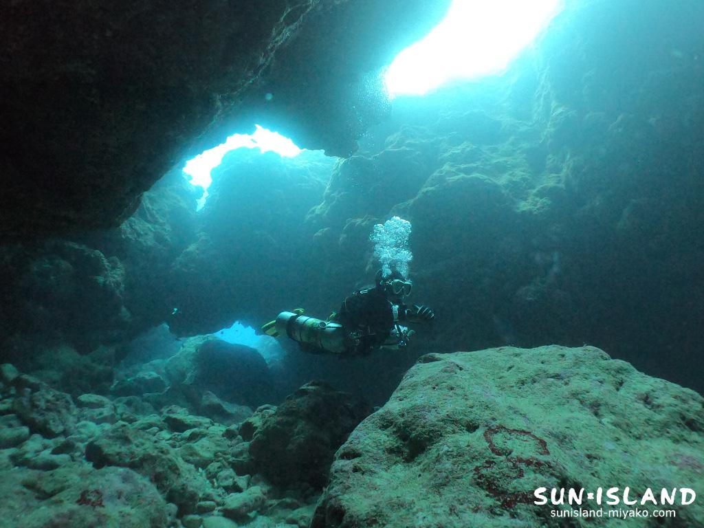 本日のゲストダイバー