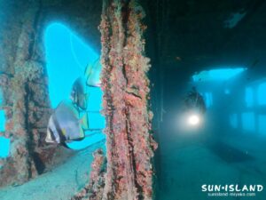 ダイビングスポット『沈船』