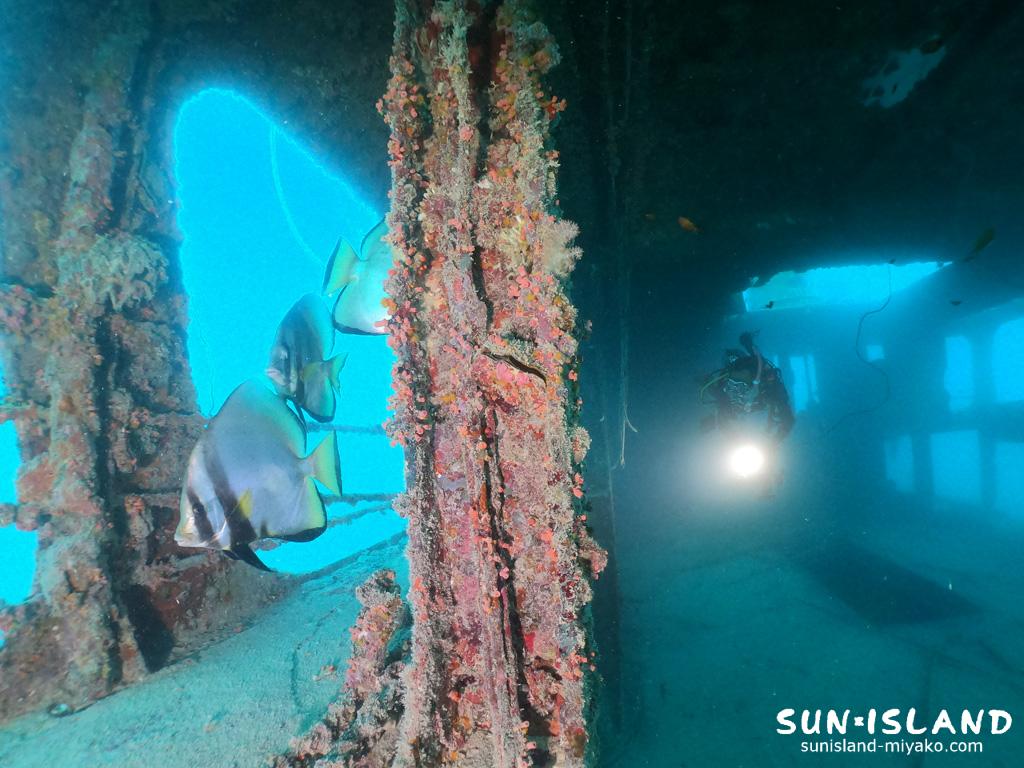 ダイビングスポット『沈船』