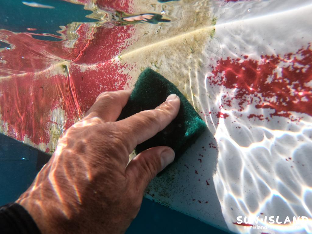 船底そうじその2