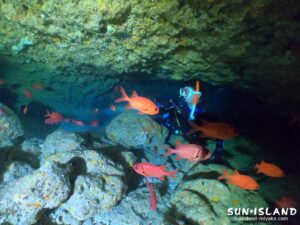 伊良部島ダイビングスポット『ワープホール』