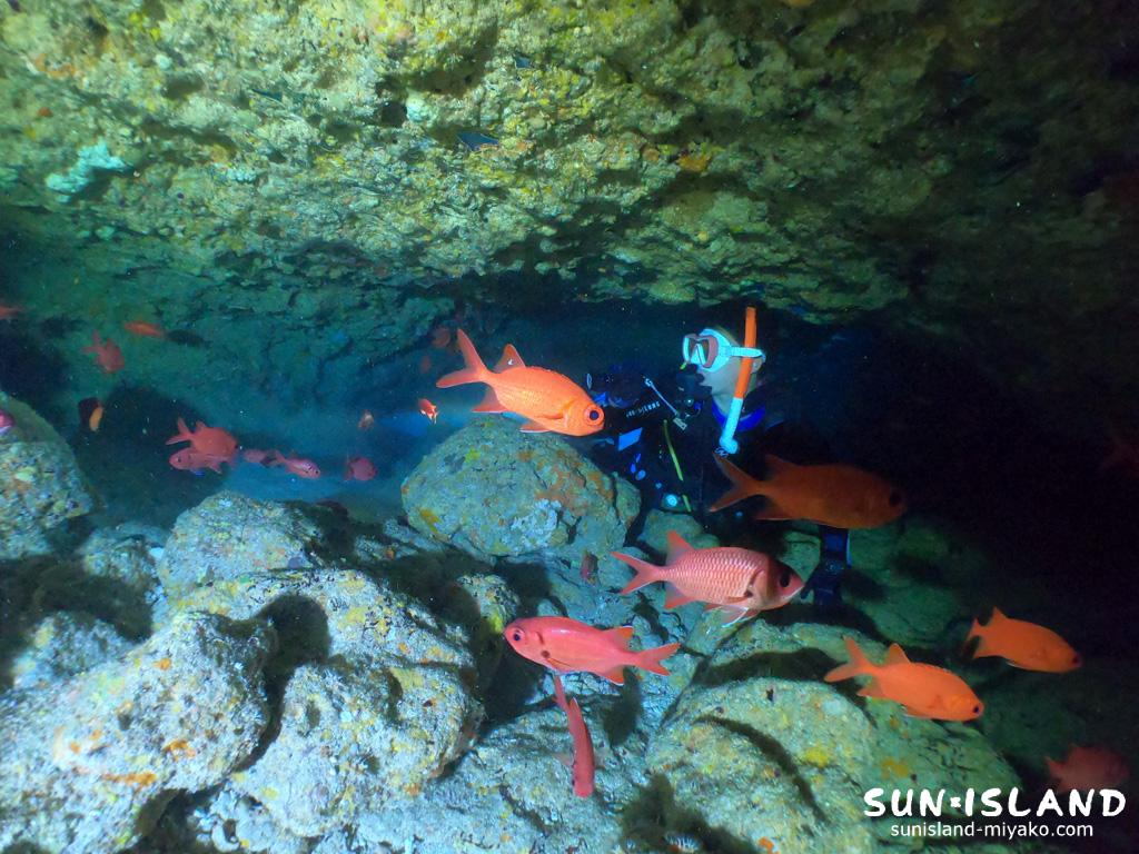 伊良部島ダイビングスポット『ワープホール』