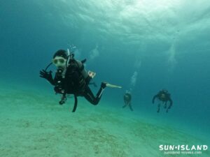 リフレッシュダイビング