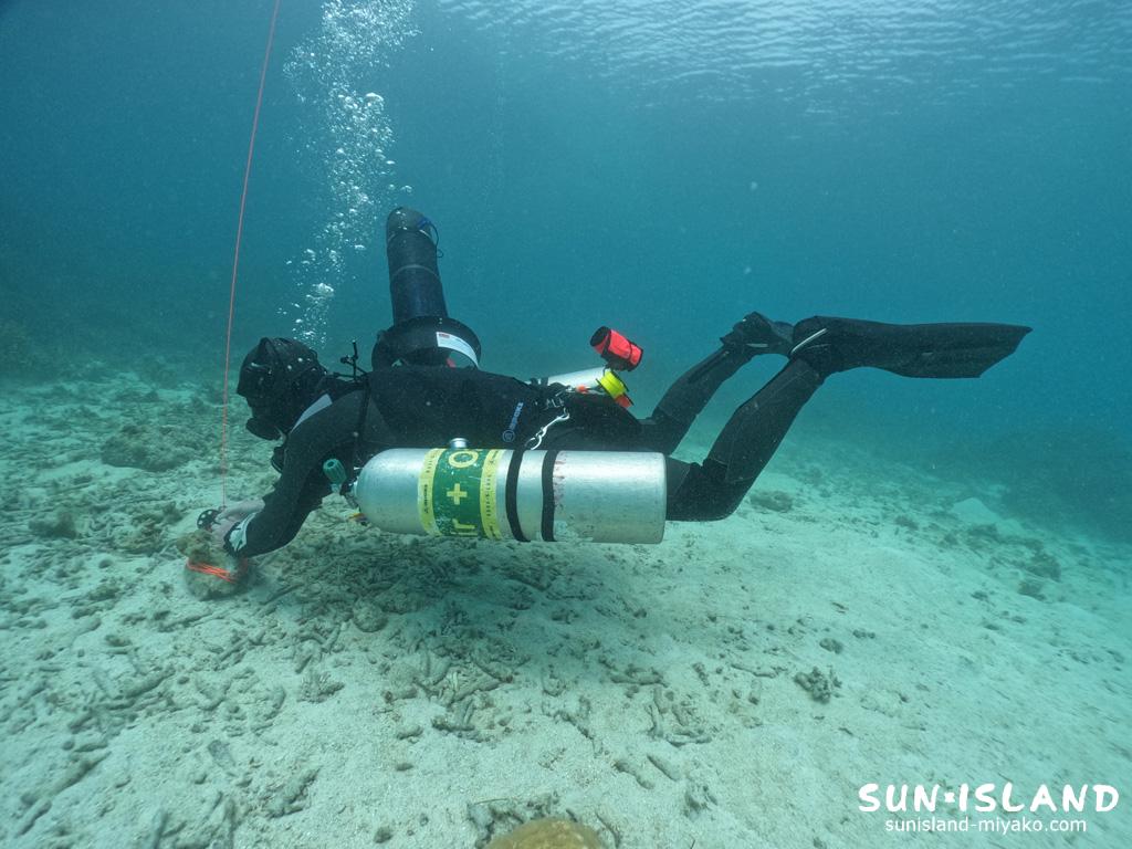 サイドマウントダイビング