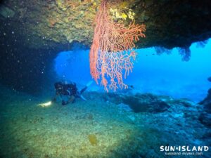 伊良部島ダイビングスポット『Zアーチ』