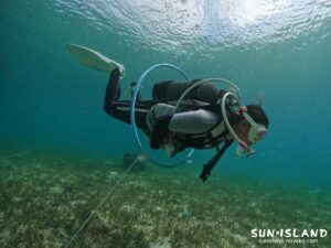 スタッフトレーニング