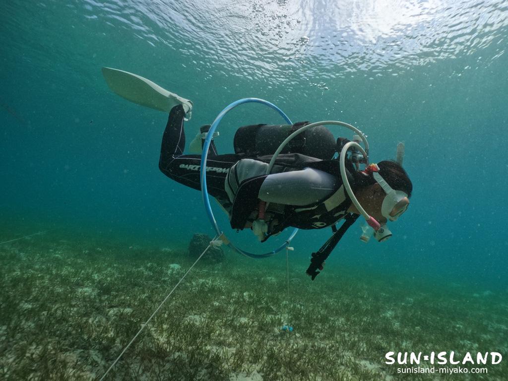 スタッフトレーニング