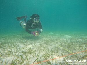 Kさん サイドマウントスキルの練習風景