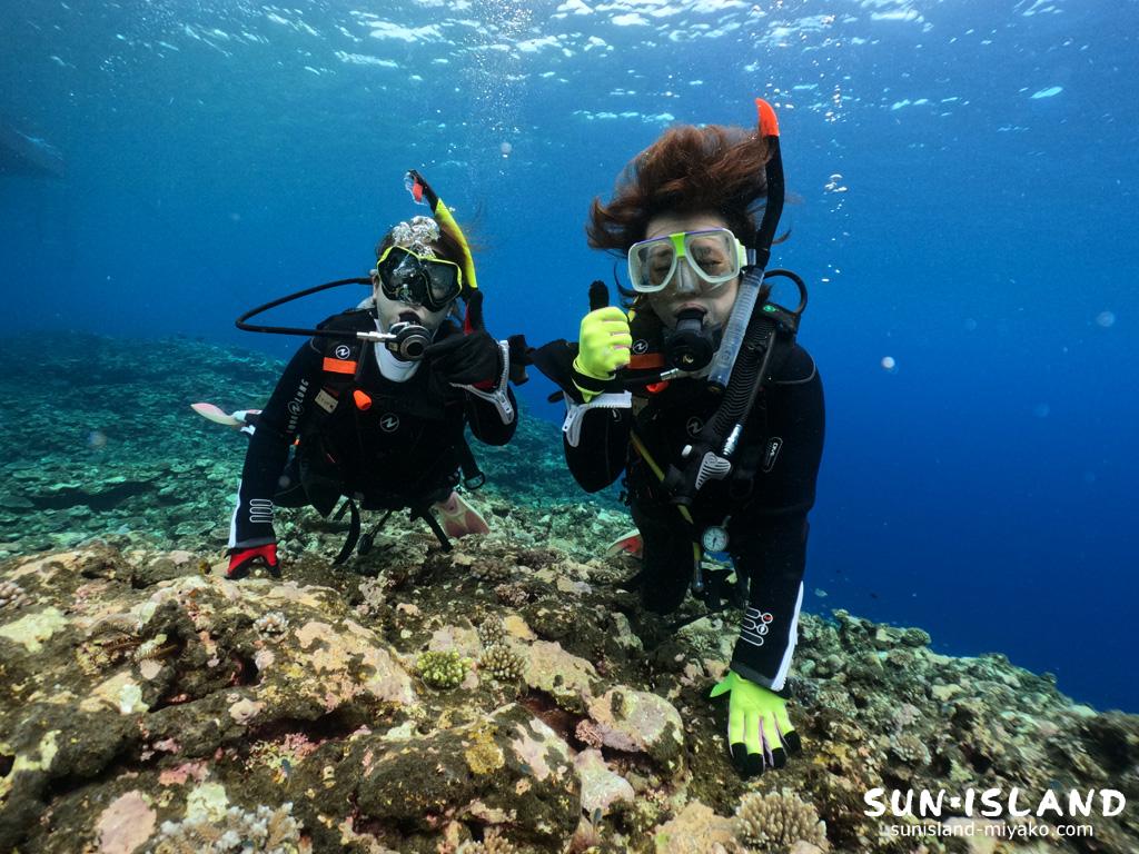 本日のゲストさん