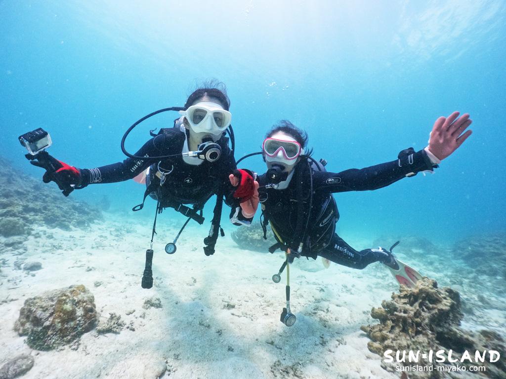 本日のゲストダイバー