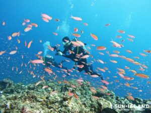 アカネハナゴイ