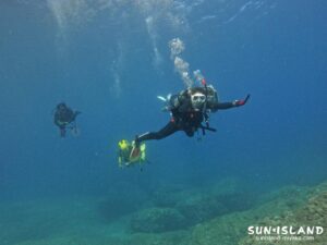 本日のゲストダイバー