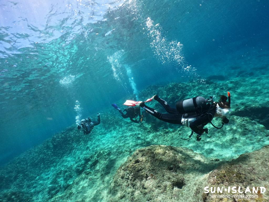 本日のゲストダイバー