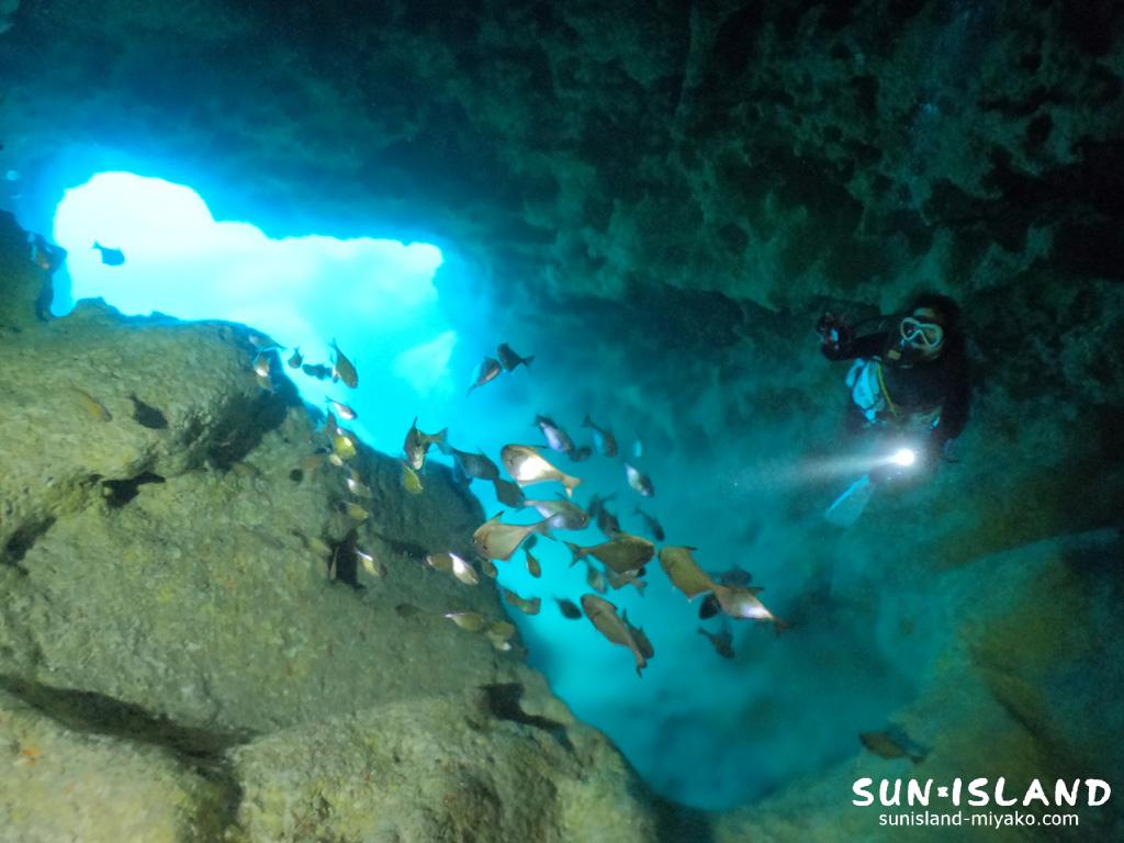 スネークホール