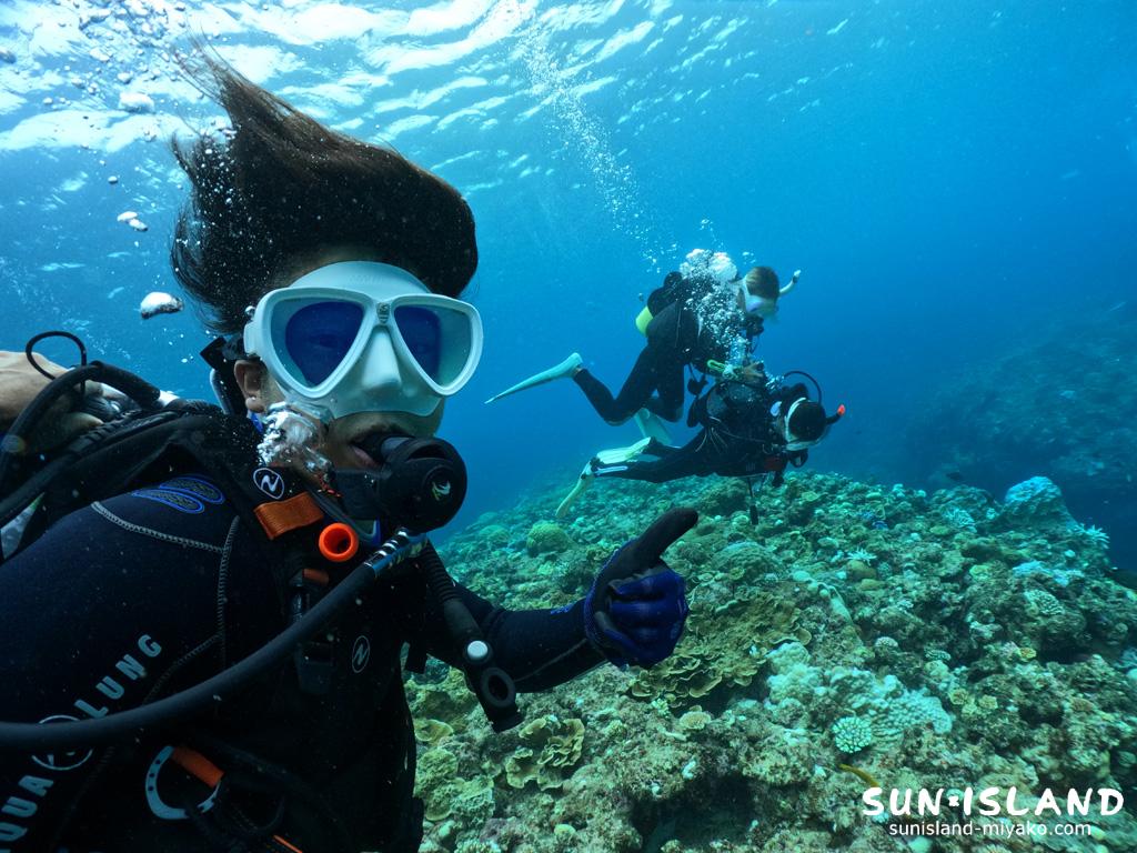 ボート体験ダイビング