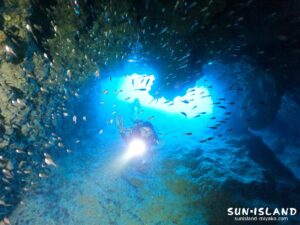 ミナミハタンポ