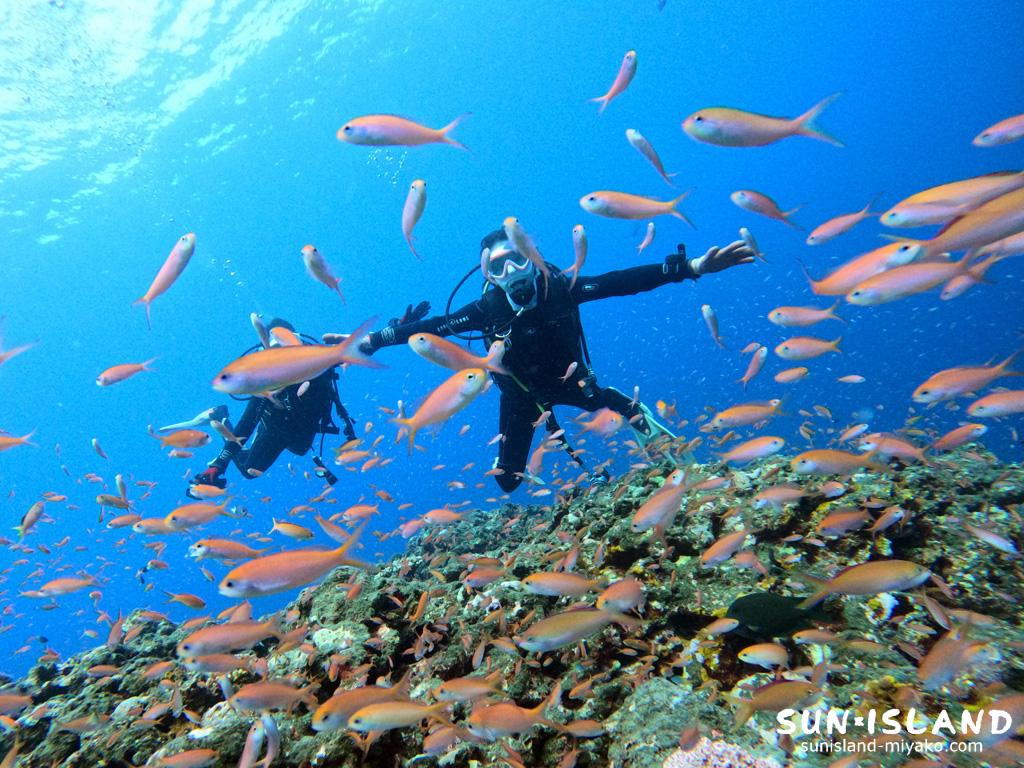 宮古島ダイビングの様子