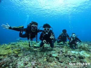 今日のゲストダイバーさん