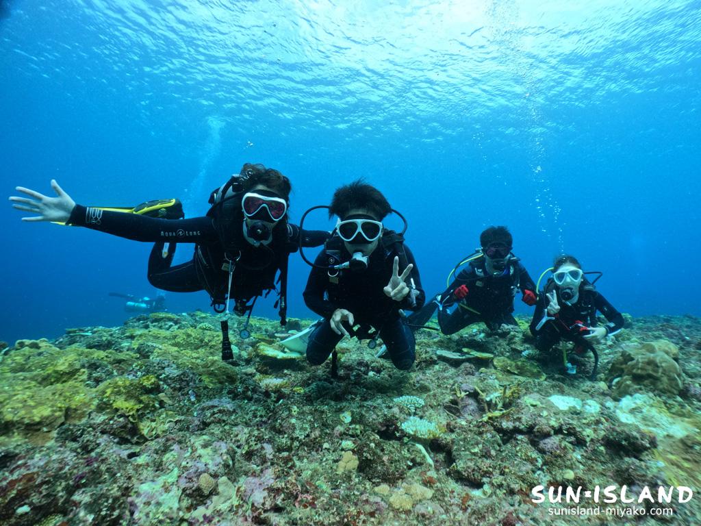 今日のゲストダイバーさん