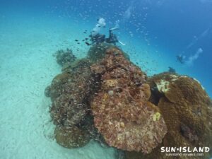 クリスタルパーク