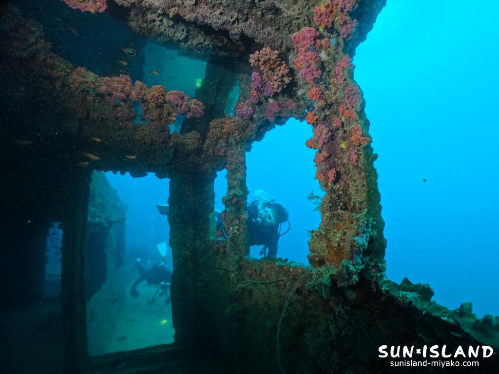 沈船ダイビング