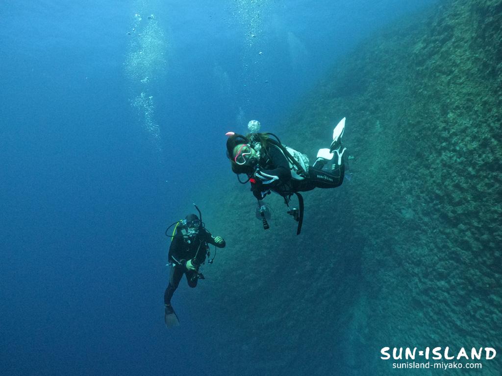 今日のゲストダイバーさん