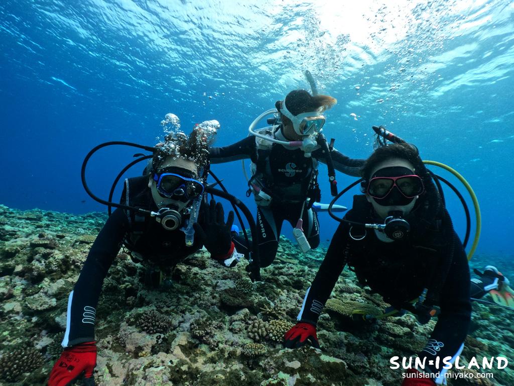 Iさん体験ダイビング