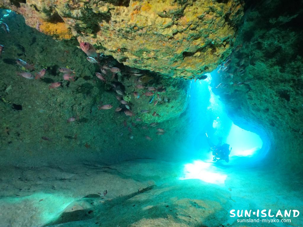 ムーンライトホール