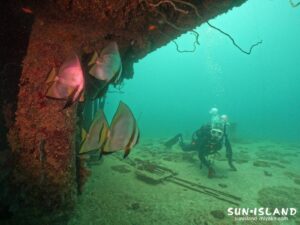 沈船xダイビングその3