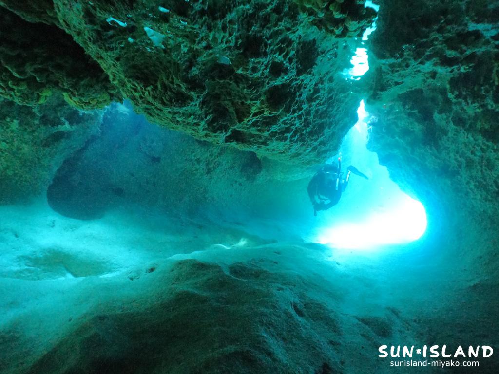 ムーンライトホール